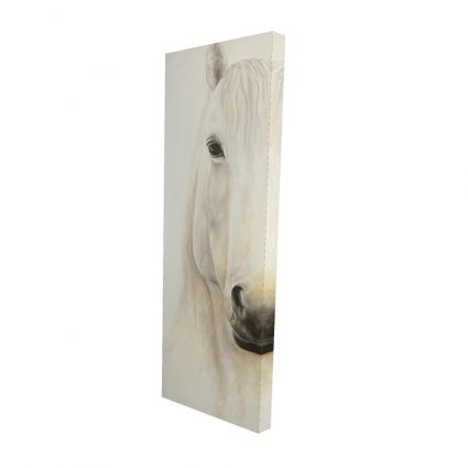 Demi-portrait d'un cheval souriant