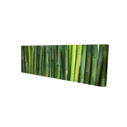 Canvas 16 x 48 - 3D - Green bamboo