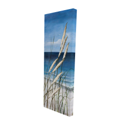 Wild herbs in the wind on at the beach