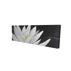 Canvas 16 x 48 - 3D - Lotus flower with reflection