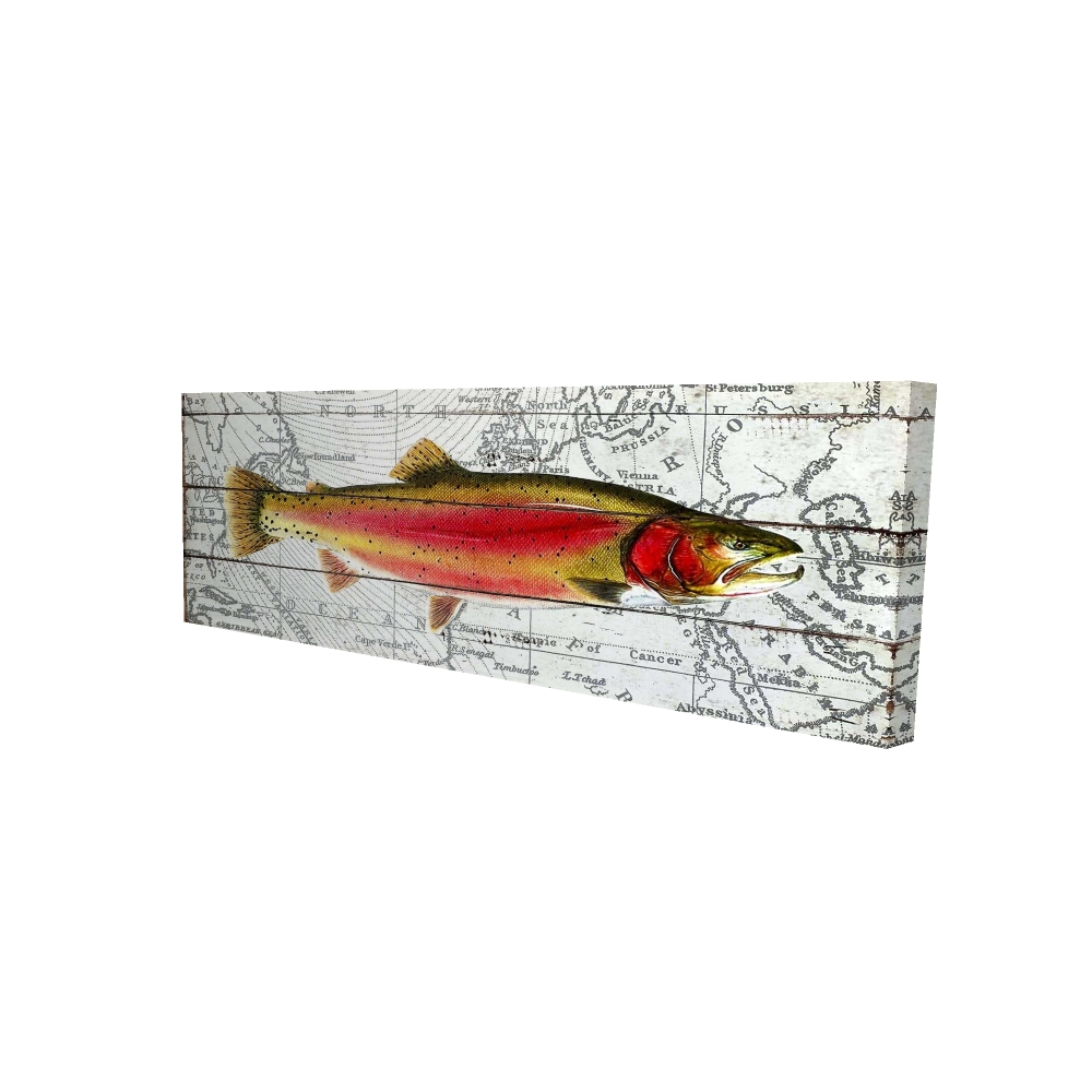 Toile 16 x 48 - 3D - Truite rose sur carte