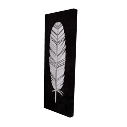 Native american feather