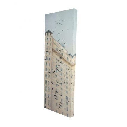 Birds flying in front of a building