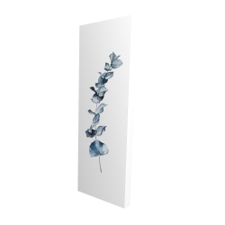 Feuilles d'eucalyptus bleu
