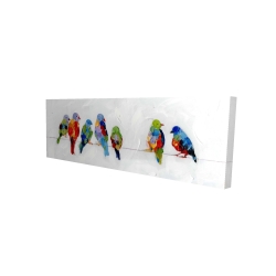 Oiseaux colorés sur des fils