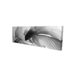 Monochrome two betta