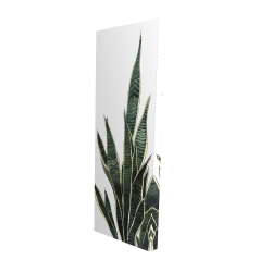 Toile 16 x 48 - 3D - Plante couteau