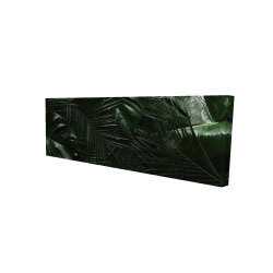 Jungle tropicale