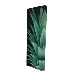 Feuilles d'ananas