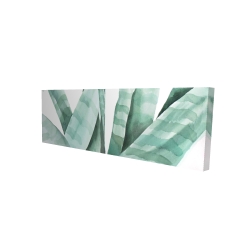 Watercolor striped desert plant