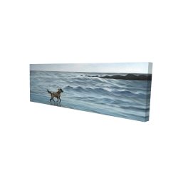 Chien à la plage