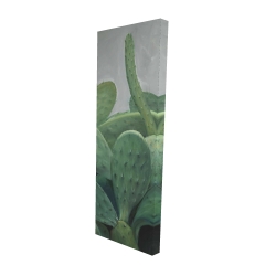 Cactus bundle