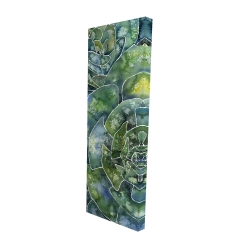 Succulents abstrait
