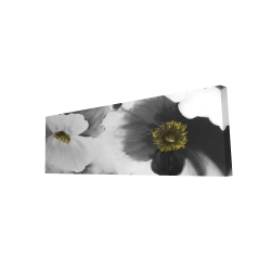 Black and white flowers