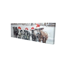 Curious christmas cows