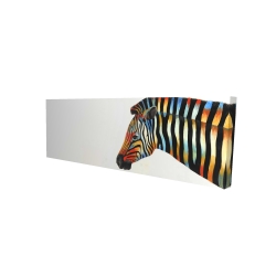 Colorful zebra