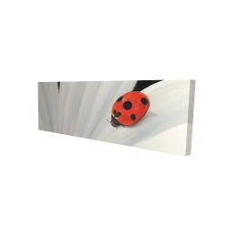 Canvas 16 x 48 - 3D - White daisy and ladybug