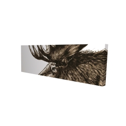 Moose plume sepia