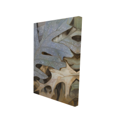 Feuilles d'automne