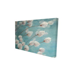 Cotton grass plants in the wind