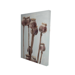Canvas 24 x 36 - 3D - Sepia poppy head plants