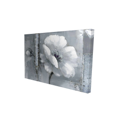 Gray & white flowers