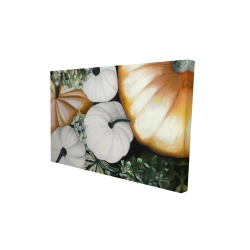 Citrouilles d'automne