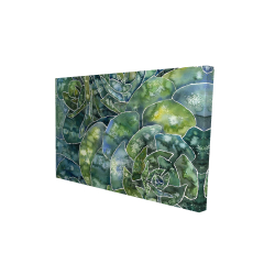 Succulents abstrait
