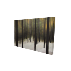 Forêt silencieuse