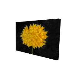 Yellow chrysanthemum