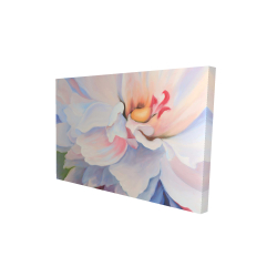 Pastel colored flower