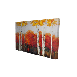Bouleaux en automne