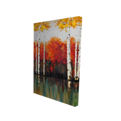 Bouleaux en automne