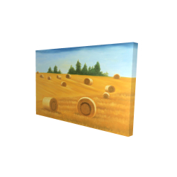 Paysage de la campagne