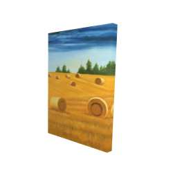Paysage de la campagne
