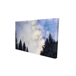 Starry sky in forest