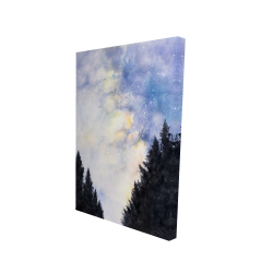 Starry sky in forest