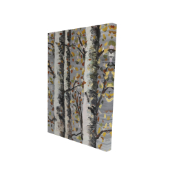 Blossoming birches