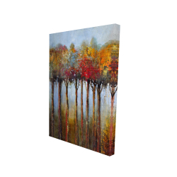 Colorful leaves trees