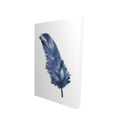 Blue feather