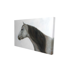 Winter horse