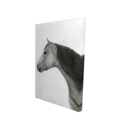 Winter horse