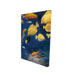 Canvas 24 x 36 - 3D - Fish under the sea