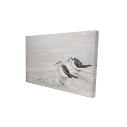 Deux oiseaux bécasseau