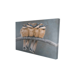 Four birds on a branch