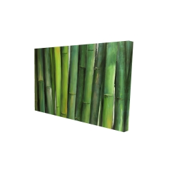 Canvas 24 x 36 - 3D - Green bamboo