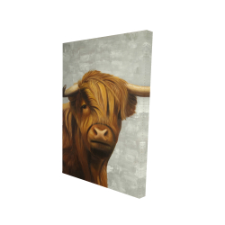 Highland cattle