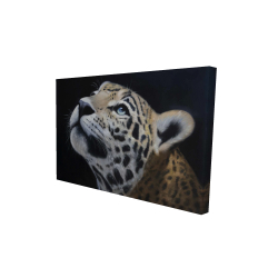 Realistic leopard face
