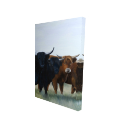 Canvas 24 x 36 - 3D - Four highland cows