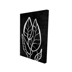 Feuilles minimalistes